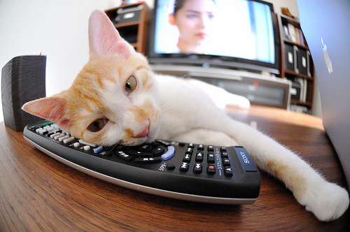 开云在线直播-“西甲赛事精彩不断，明星球员表现抢眼”，西甲知名球员